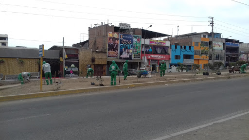 Peña turística pocho