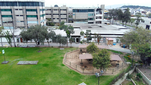 Universidad Ricardo Palma