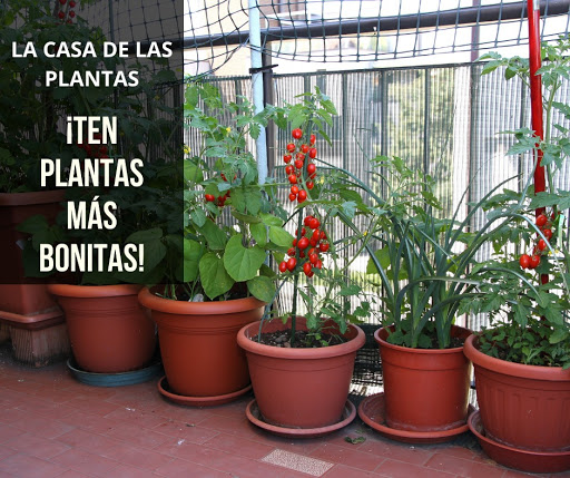 La Casa de las Plantas