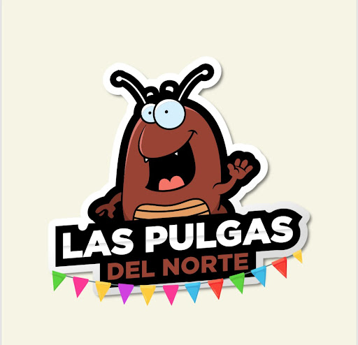 Feria Las Pulgas del Norte