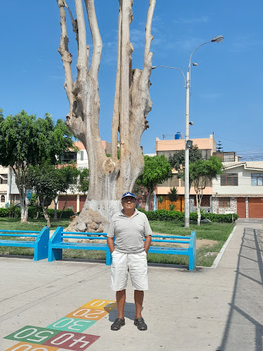 Parque del Reloj