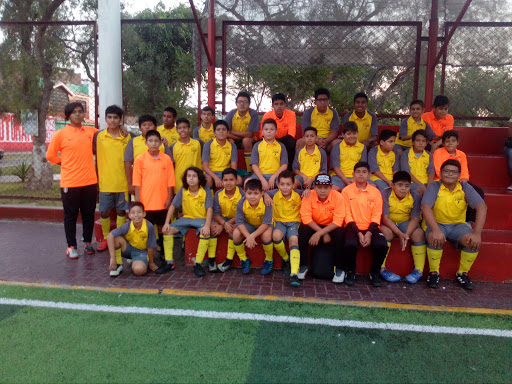 Escuela de Formacion de Futbol Urbanizacion La Colonial