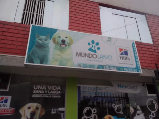 Veterinaria Mundo Labvet