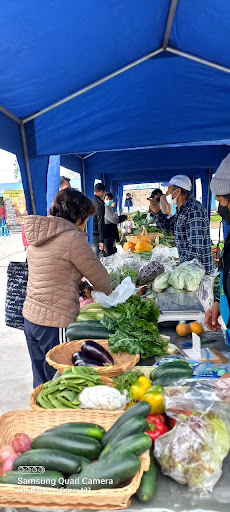 Feria Agroecológica del Valle Chillón