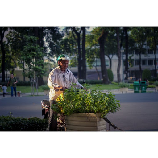 SERVICIOS DE JARDINERÍA JR